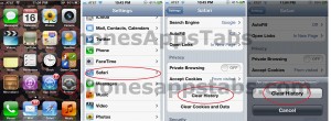 Delete Safari History iPad and iPhone Delete Safari History iPad and iPhone