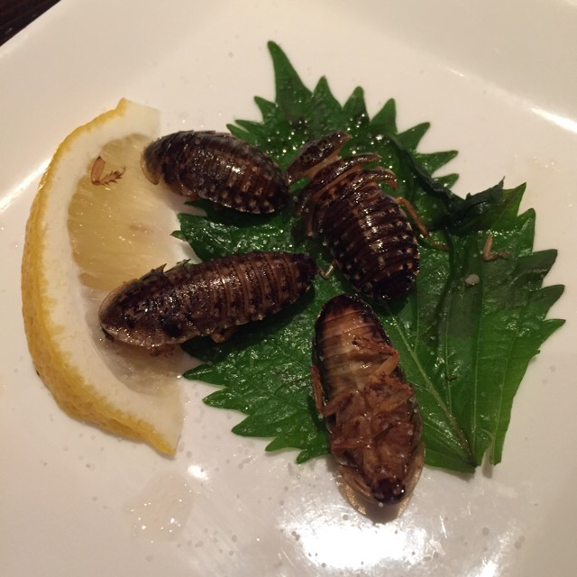 Bugs | A Restaurant In Japan Sells the World's Most Bizarre Dishes. 