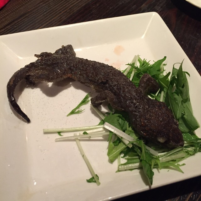 Fried Lizard| A Restaurant In Japan Sells the World's Most Bizarre Dishes. 