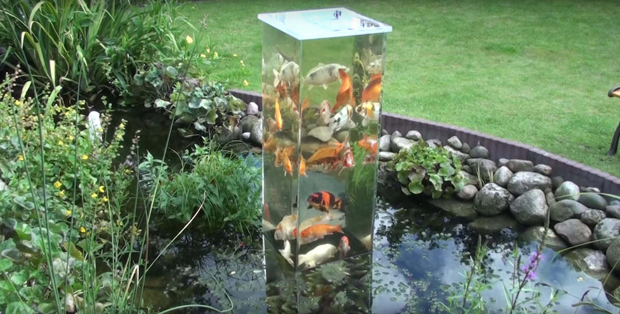 Upside down glass look up tower aquarium for fishes