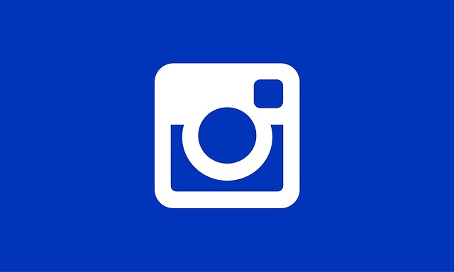 Instagram - 7 Best Social Media Platforms For Online Marketers