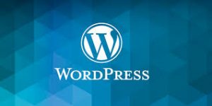 WordPress as CMS
