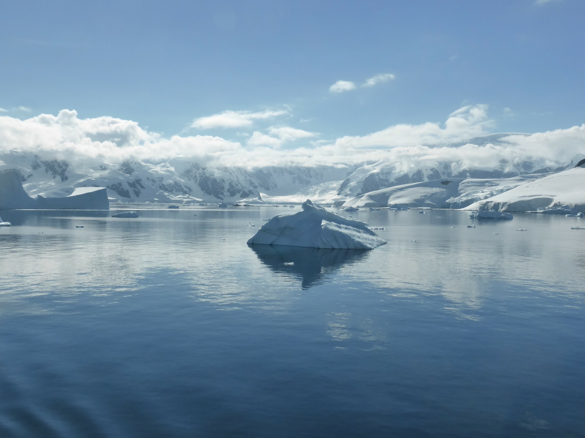 The Antarctic Peninsula