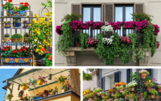 Balcony Garden Ideas and Tips for You