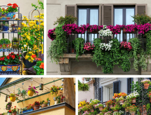 Balcony Garden Ideas and Tips for Your Home