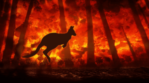 Australian-Bushfire