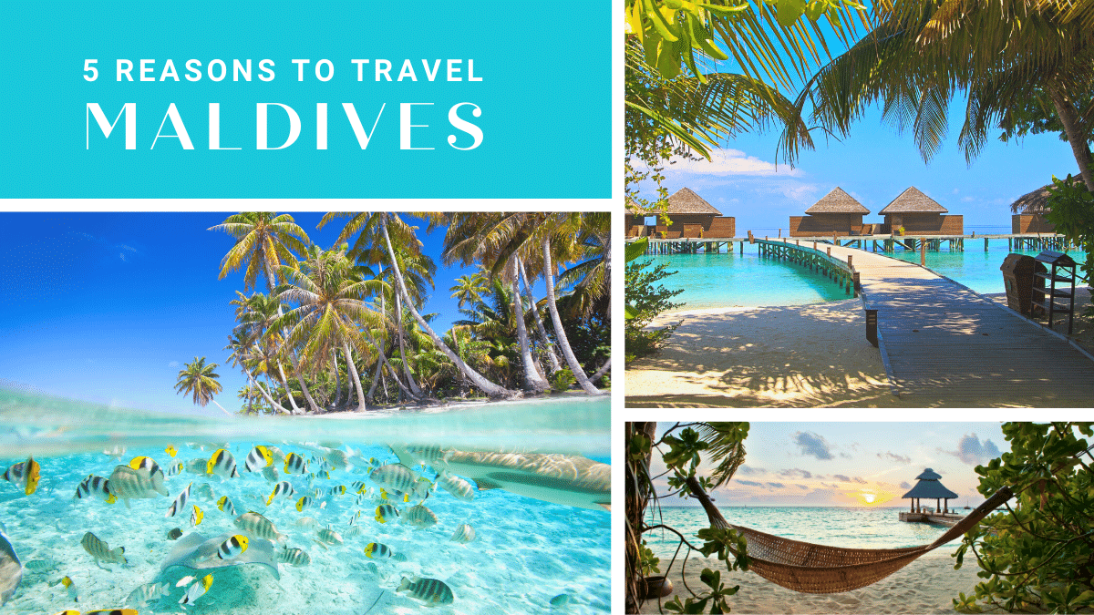 Top 5 Reasons To Add Maldives To Your Bucket List - Debongo