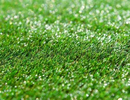 Reasons Why Synthetic Grass is the Perfect Solution for Your Lawn